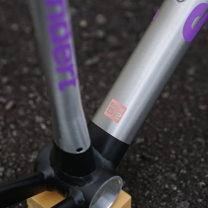 Standert Kreissage Disc Frameset - Fresh Raw 52PC