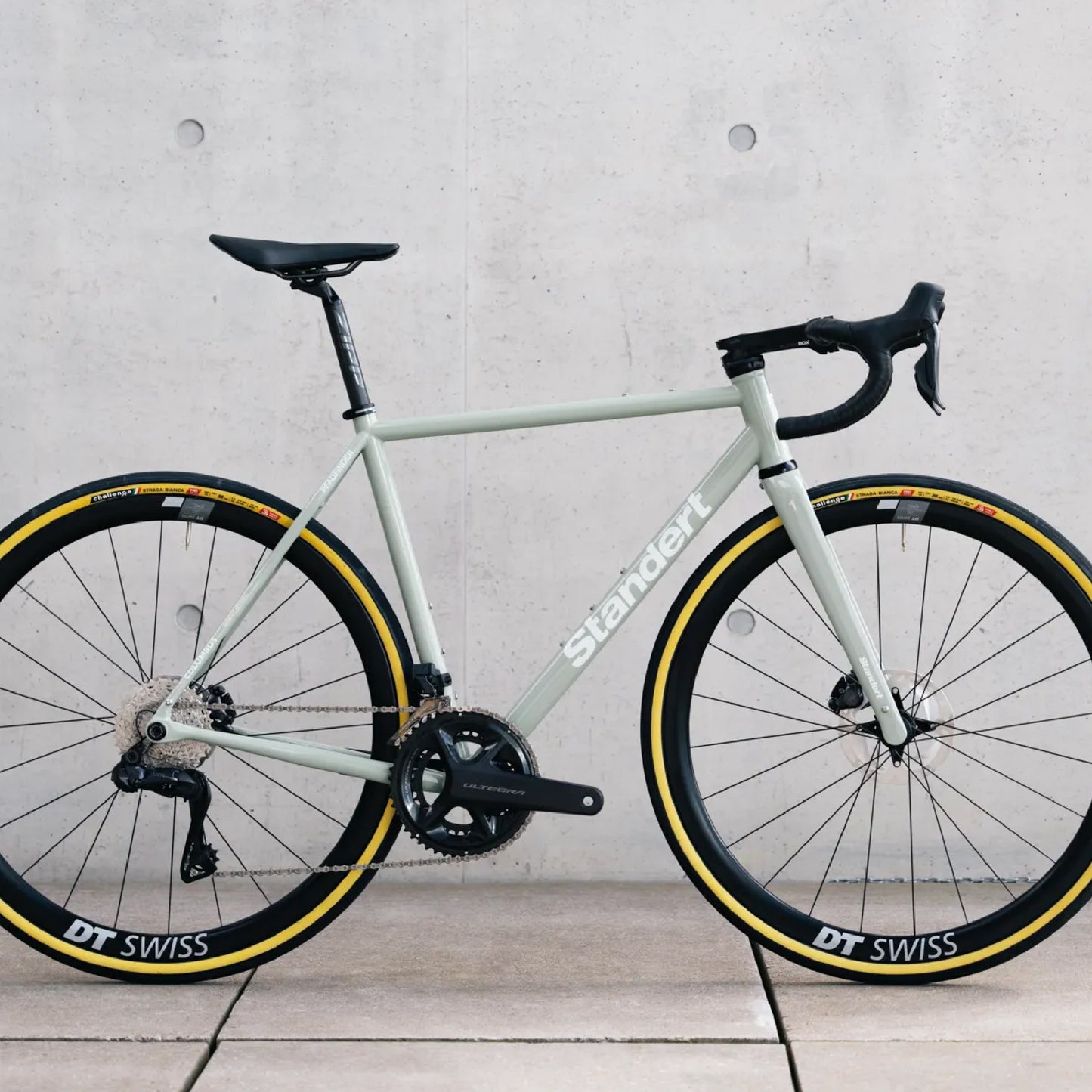 Standert Pfadfinder Disc Frameset - Sage Salida 52PC